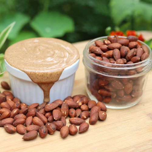 two cute jars sitting next to eachother on a wood table with fresh green plants in the background, one jar contains fresh milled almond butter, and the other with whole almonds