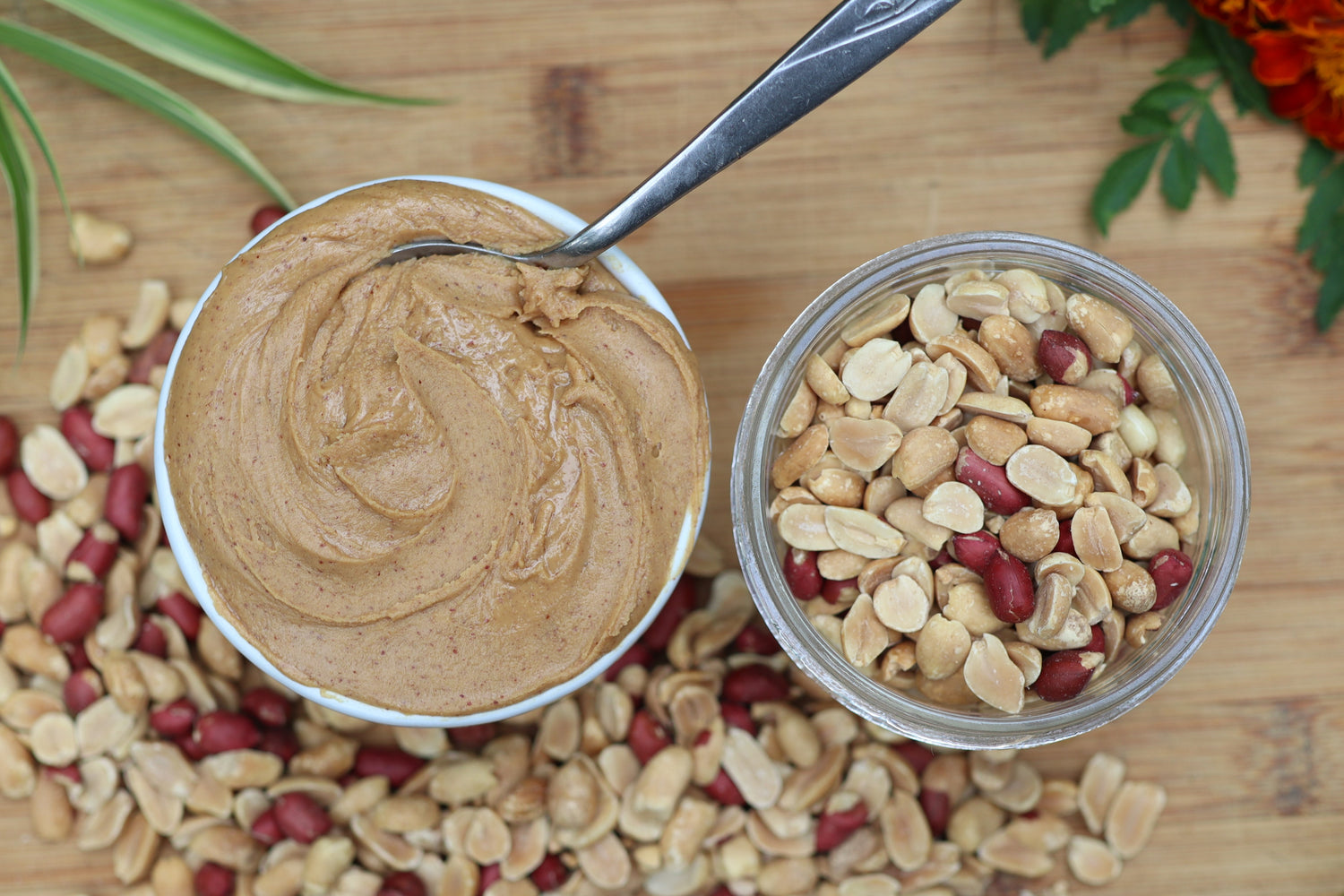 Why Valencia peanuts make the best peanut butter. East Wind Crafts